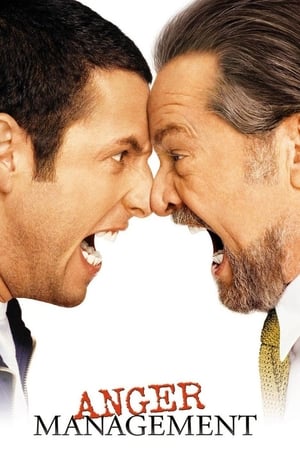 Anger Management (2003) Hindi Dual Audio – 480p